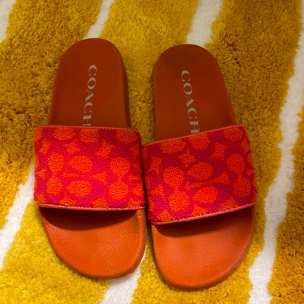 Coach slides